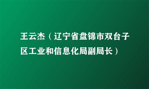 王云杰（辽宁省盘锦市双台子区工业和信息化局副局长）