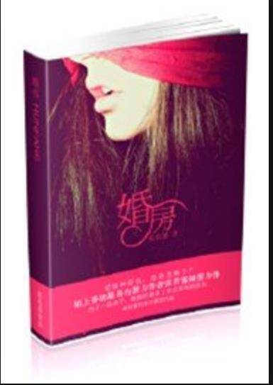 婚房（张若雾所著小说）