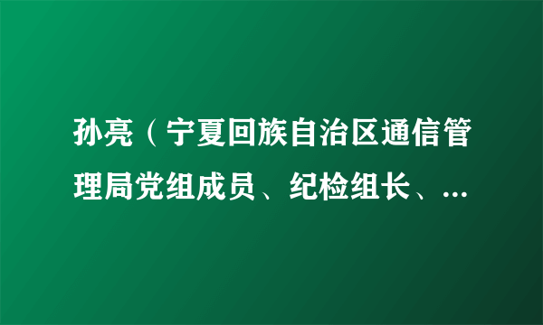 孙亮（宁夏回族自治区通信管理局党组成员、纪检组长、副局长）