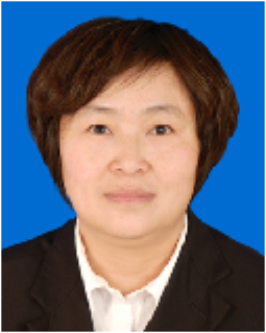 何燕（四川省成都市邛崃市文君街道办事处党工委委员、副主任）