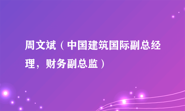 周文斌（中国建筑国际副总经理，财务副总监）