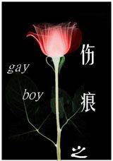 伤痕之gay boy