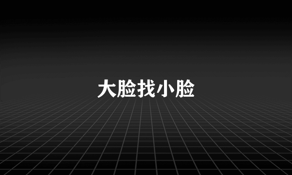 大脸找小脸