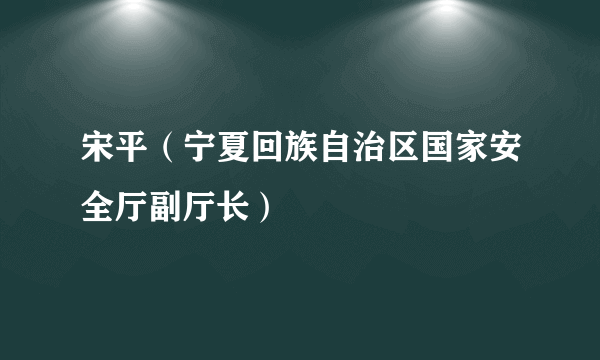 宋平（宁夏回族自治区国家安全厅副厅长）