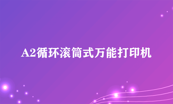 A2循环滚筒式万能打印机