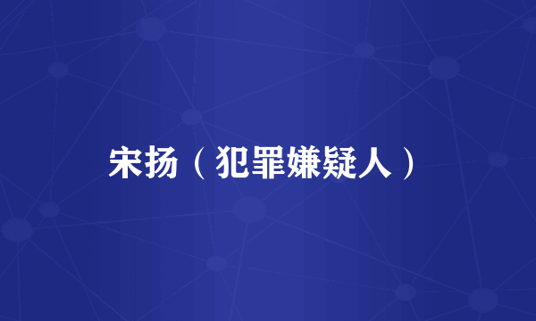 宋扬（犯罪嫌疑人）