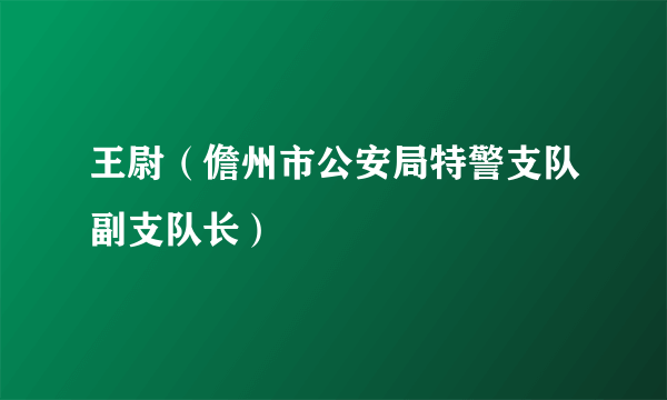 王尉（儋州市公安局特警支队副支队长）
