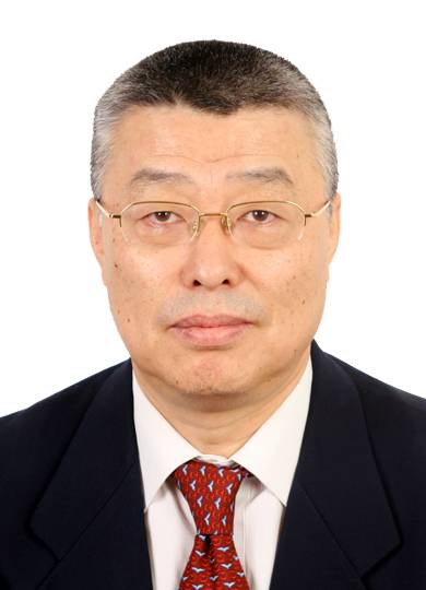王元（中国科学技术发展战略研究院原常务副院长）