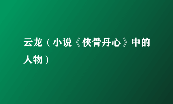 云龙（小说《侠骨丹心》中的人物）