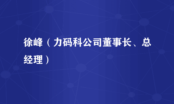 徐峰（力码科公司董事长、总经理）