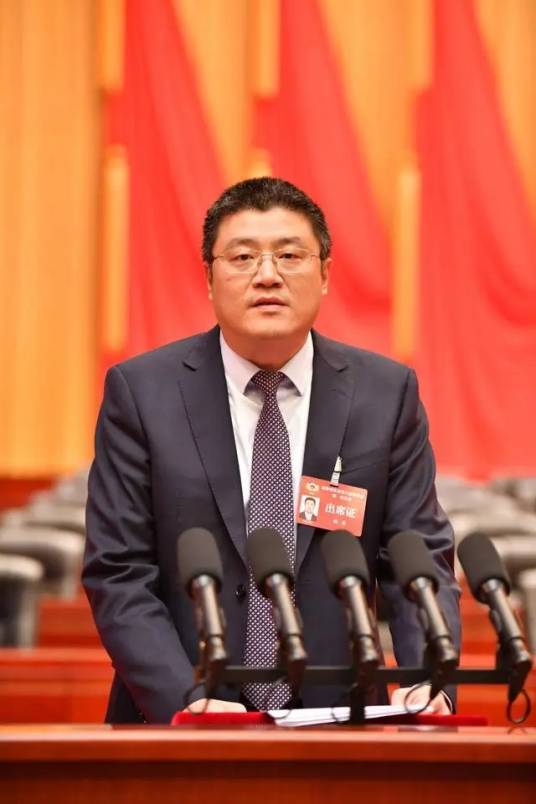 林丹（重庆市政协港澳台侨外事委员会副主任，台盟重庆市委会副主委）