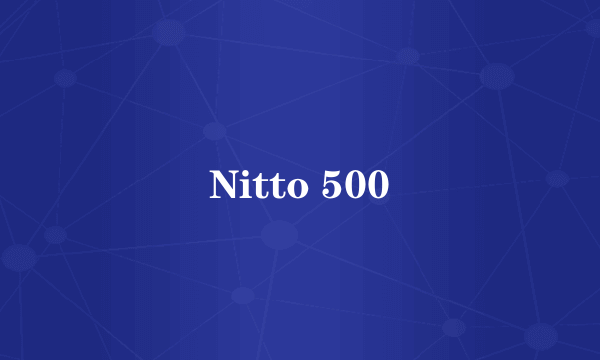 Nitto 500
