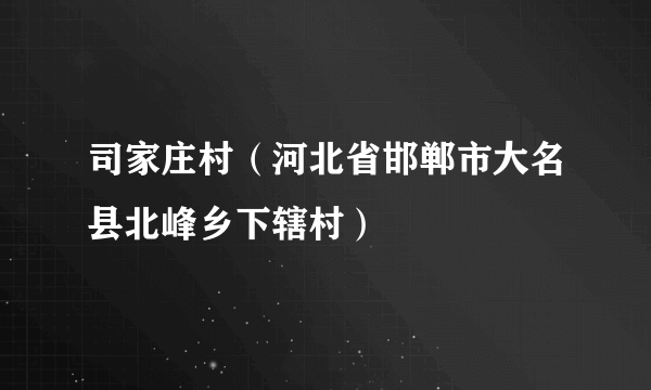 司家庄村（河北省邯郸市大名县北峰乡下辖村）
