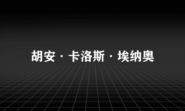 胡安·卡洛斯·埃纳奥