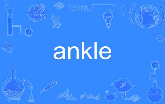 ankle