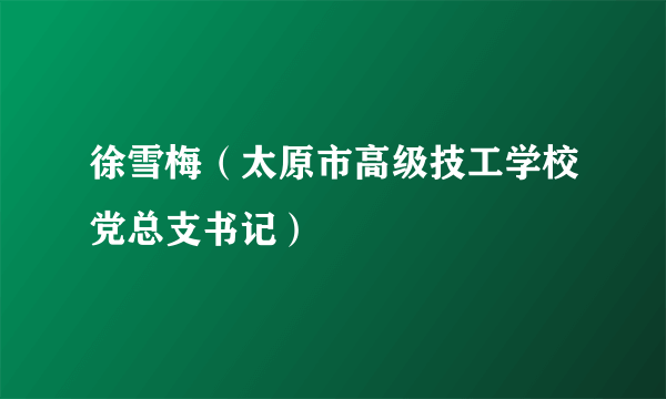 徐雪梅（太原市高级技工学校党总支书记）