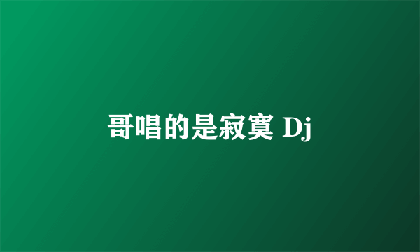 哥唱的是寂寞 Dj