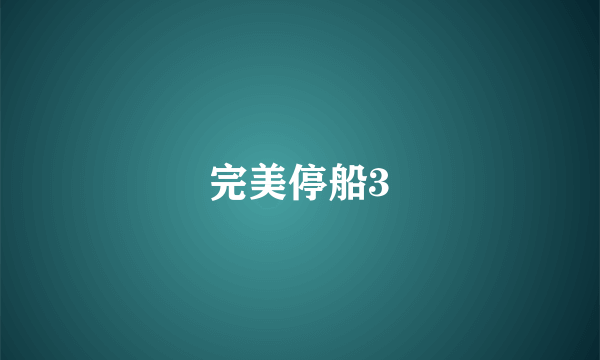 完美停船3