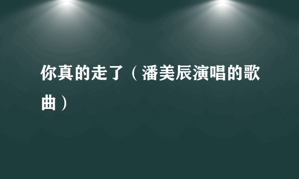 你真的走了（潘美辰演唱的歌曲）