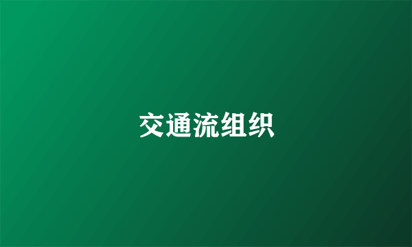 交通流组织