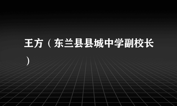 王方（东兰县县城中学副校长）