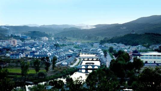 大梨树村（云南省玉溪市通海县九街镇大梨树村）
