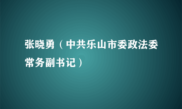 张晓勇（中共乐山市委政法委常务副书记）