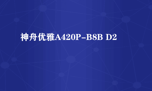 神舟优雅A420P-B8B D2