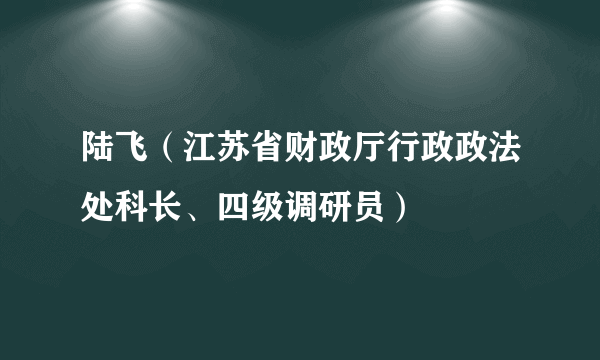 陆飞（江苏省财政厅行政政法处科长、四级调研员）