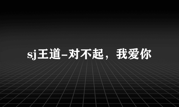 sj王道-对不起，我爱你