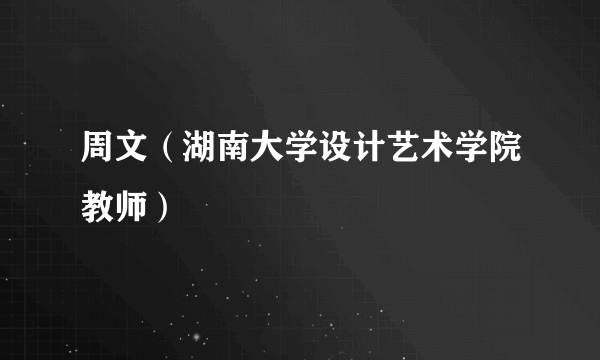 周文（湖南大学设计艺术学院教师）