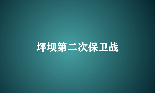 坪坝第二次保卫战