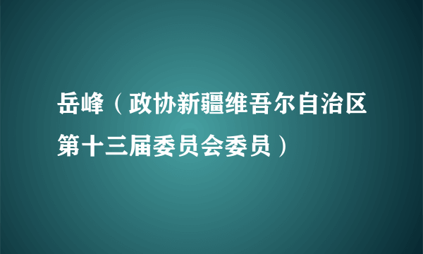岳峰（政协新疆维吾尔自治区第十三届委员会委员）