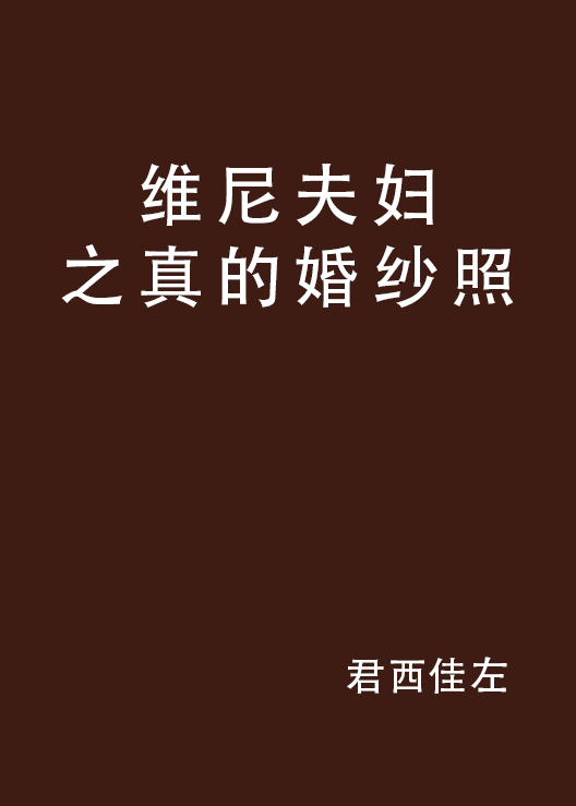 维尼夫妇之真的婚纱照