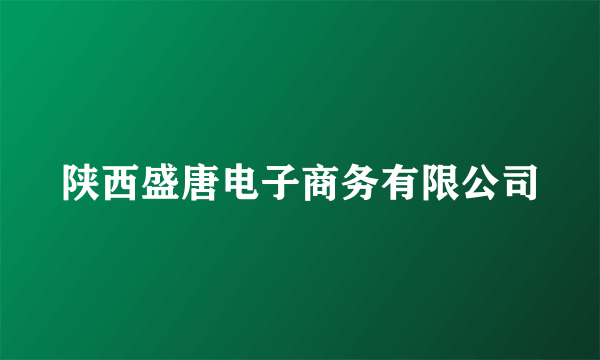 陕西盛唐电子商务有限公司