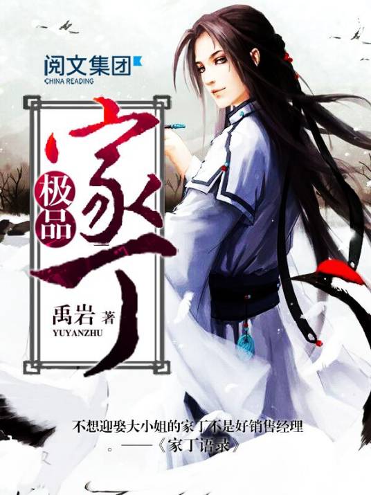 极品家丁（禹岩创作的历史类网络小说）