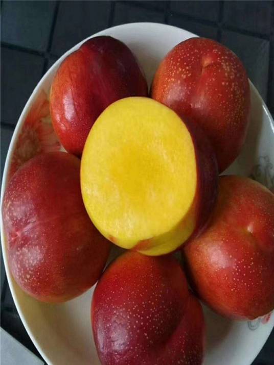 奶桃