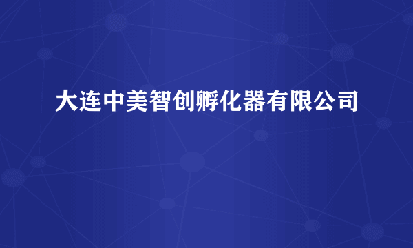 大连中美智创孵化器有限公司
