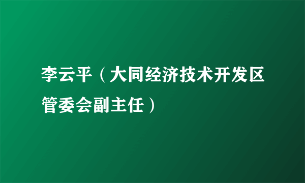 李云平（大同经济技术开发区管委会副主任）