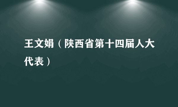 王文娟（陕西省第十四届人大代表）