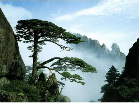 天马流星（罗良所著图书）