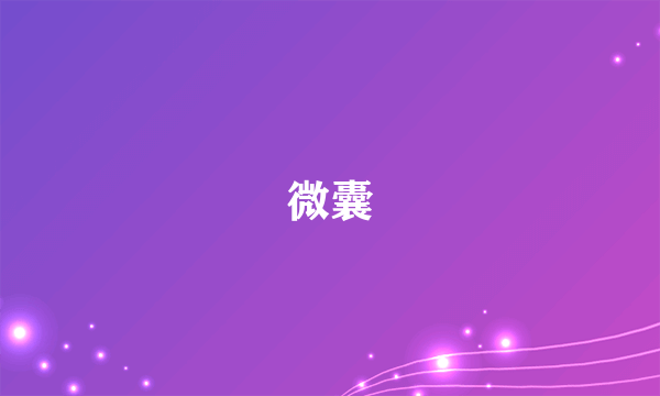 微囊