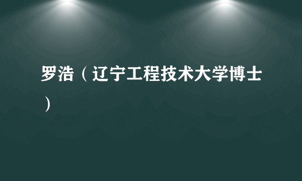 罗浩（辽宁工程技术大学博士）
