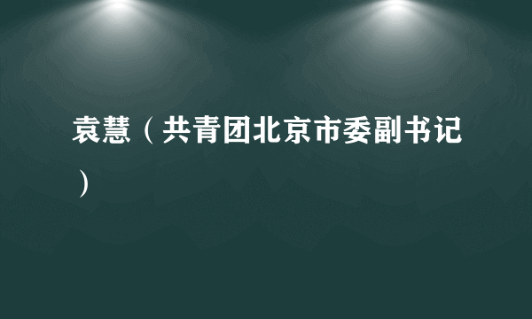 袁慧（共青团北京市委副书记）