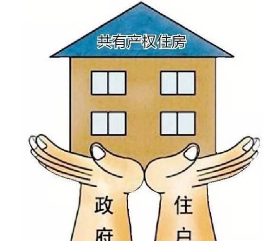 共有产权养老房
