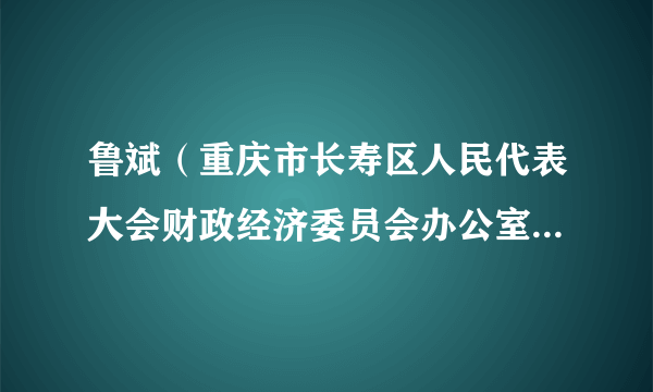鲁斌（重庆市长寿区人民代表大会财政经济委员会办公室副主任）