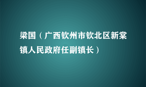 梁国（广西钦州市钦北区新棠镇人民政府任副镇长）