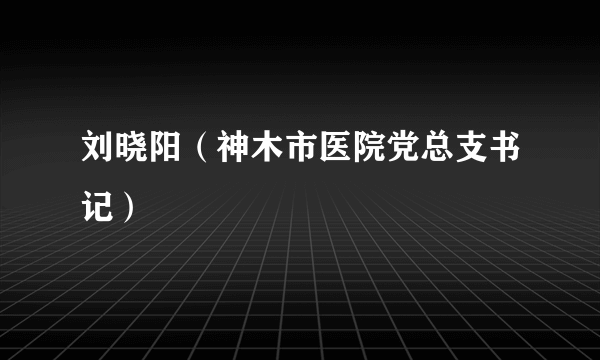 刘晓阳（神木市医院党总支书记）
