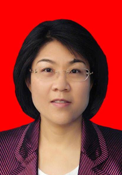 王帆（山西省朔州市人大常委会党组成员、副主任）