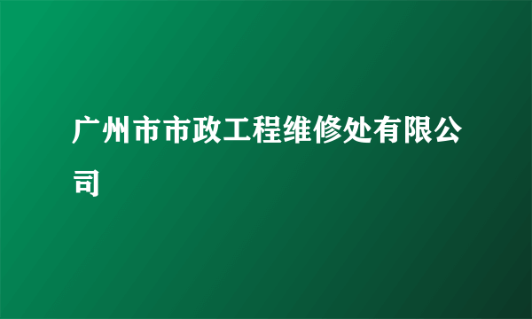 广州市市政工程维修处有限公司